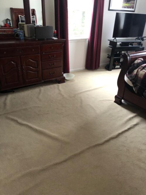 Carpet Repair&Stretch Green Clean Carpet Cleaning Services